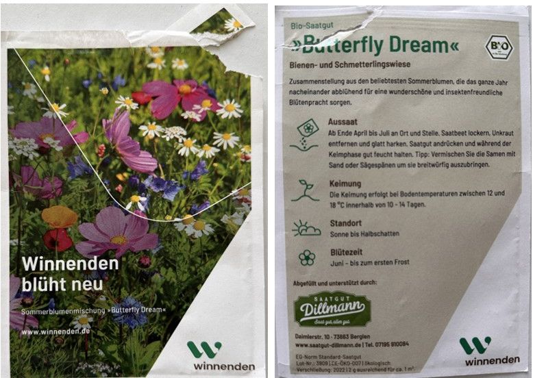 Butterfly Dream